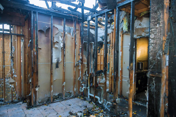 Professional Fire Damage Removal technician working in Charlotte Park, FL